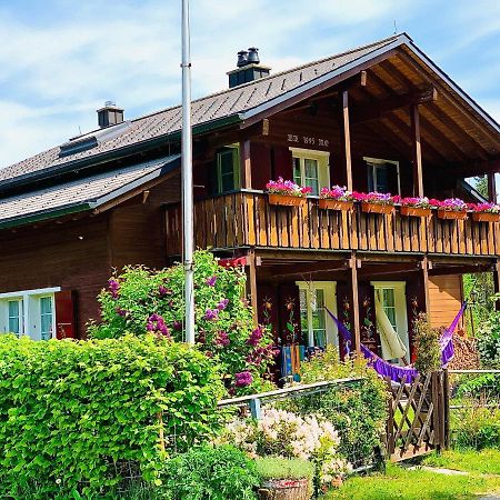 The Swiss Paradise 1 Penthouse Apartment Wirzweli Esterno foto