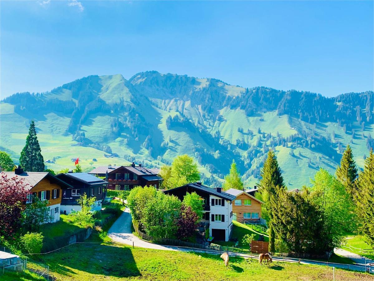 The Swiss Paradise 1 Penthouse Apartment Wirzweli Esterno foto