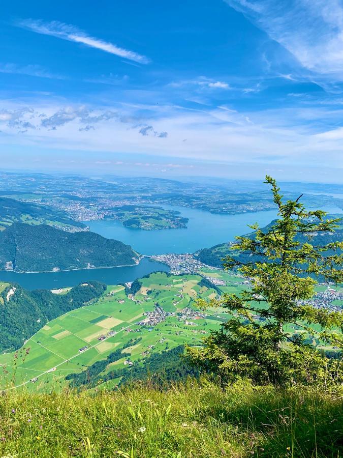 The Swiss Paradise 1 Penthouse Apartment Wirzweli Esterno foto